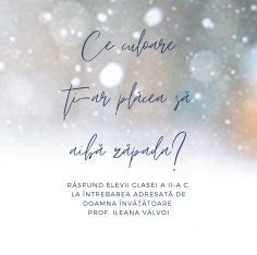 Ce culoare are zapada, Scoala Europeana Bucuresti